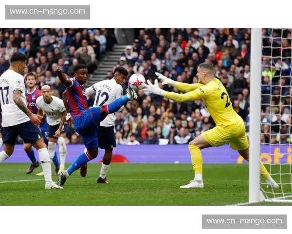 英超烽火：白百合与大黄蜂的宿命对决，热刺vs沃特福德的绿茵狂想曲